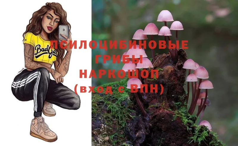 Псилоцибиновые грибы Magic Shrooms  где можно купить   Саки 